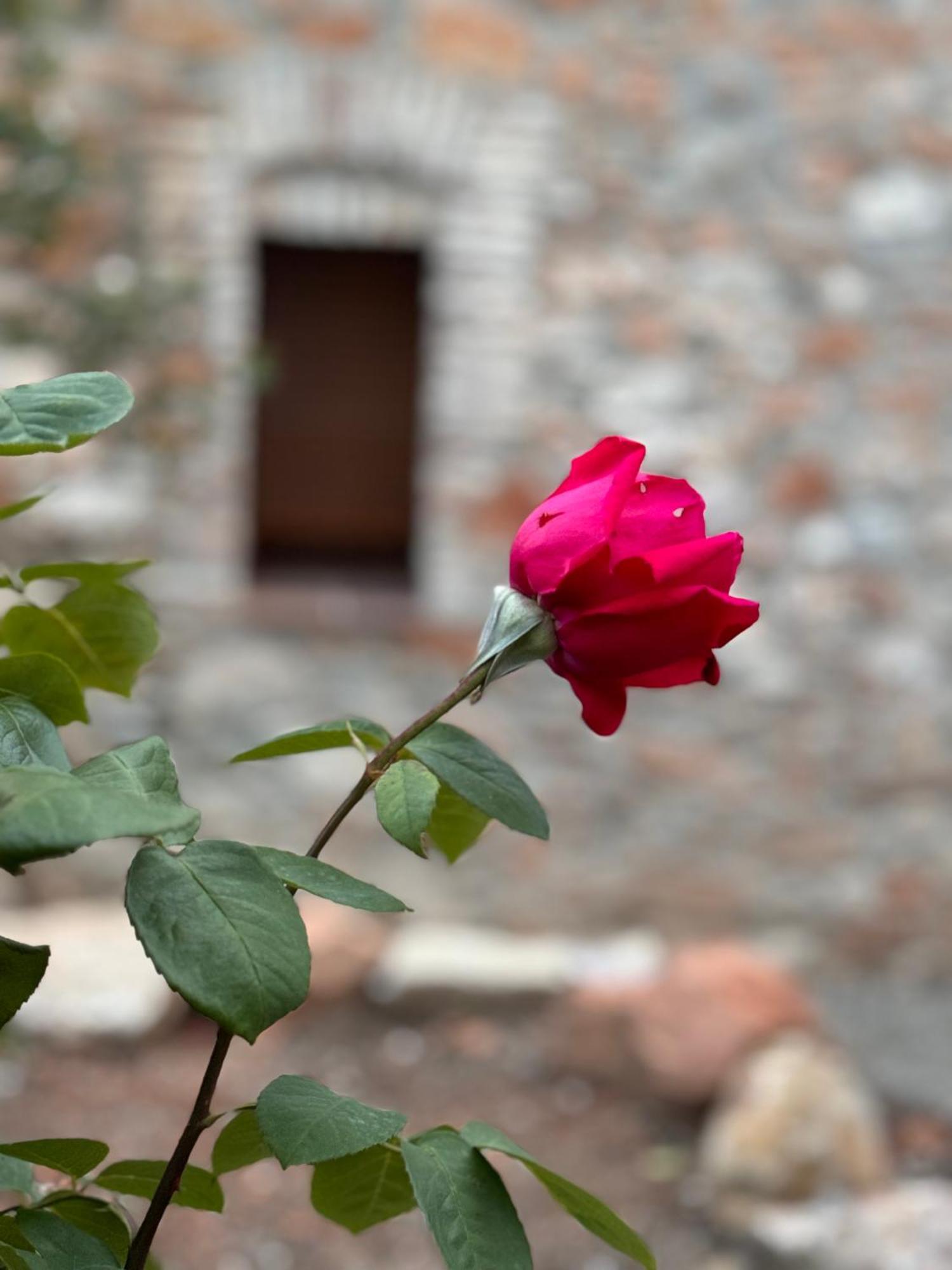 Casa De La Serra 몽블랑 외부 사진